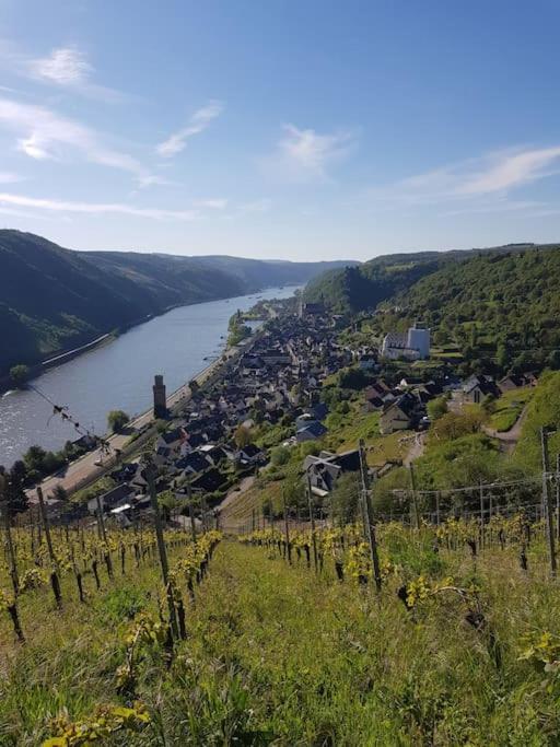 Wohnen Am Schoenen Mittelrhein Weltkulturerbe أوبرفيزل المظهر الخارجي الصورة